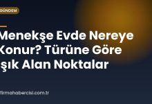 Menekşe Evde Nereye Konur? Türüne Göre Işık Alan Noktalar