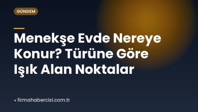 Menekşe Evde Nereye Konur? Türüne Göre Işık Alan Noktalar