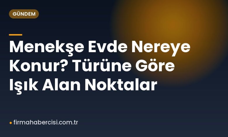 Menekşe Evde Nereye Konur? Türüne Göre Işık Alan Noktalar Menekşe Evde Nereye Konur? Türüne Göre Işık Alan Noktalar