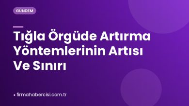 Tığla Örgüde Artırma Yöntemlerinin Artısı Ve Sınırı Tığla Örgüde Artırma Yöntemlerinin Artısı Ve Sınırı