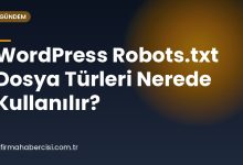 WordPress Robots.txt Dosya Türleri Nerede Kullanılır?
