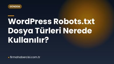 WordPress Robots.txt Dosya Türleri Nerede Kullanılır?