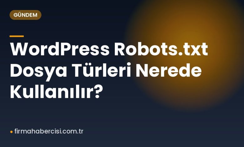 WordPress Robots.txt Dosya Türleri Nerede Kullanılır?